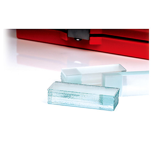 Microscope Slides
