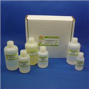 genomic plant dna purification kit at