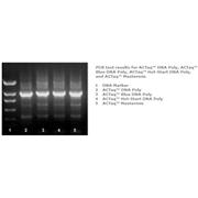 ACTaq™ Hot-Start DNA Polymerase