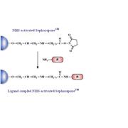 NHS-activated Separopore® (Agarose) 4B-CL