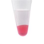 viewIP™ Protein-A Red Separopore® 4B