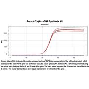 Accuris™ qMax cDNA Synthesis Kit
