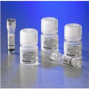 genomic plant dna purification kit at