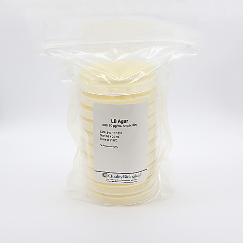 LB Agar Plates