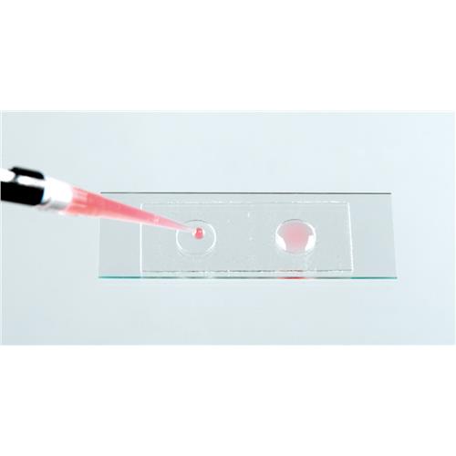 Microscope SlideWells