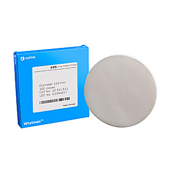 Web filtering essay image