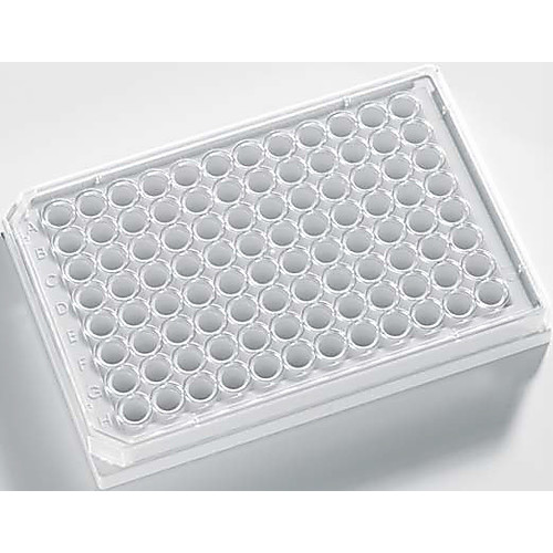 glass bottom plates Real swinger websites