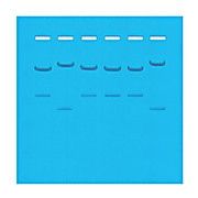 DNA Samples ONLY for 24 Gels in Microtest Tubes Kit