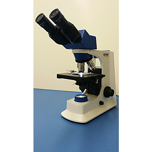 Upright Light Compound Microscopes