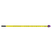 calibration mercury thermometer at