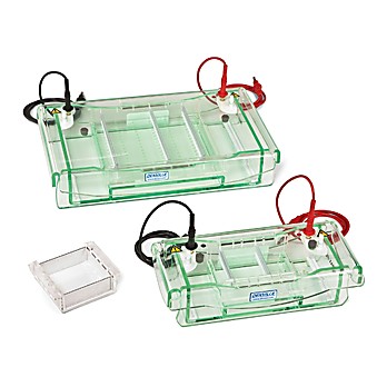 Vari-Gel™ Horizontal Midi Gel Systems, Gel casting tray, 10 x 10cm