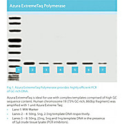 Azura™ ExtremeTaq DNA Polymerase
