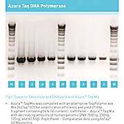 Azura™ Taq DNA Polymerase