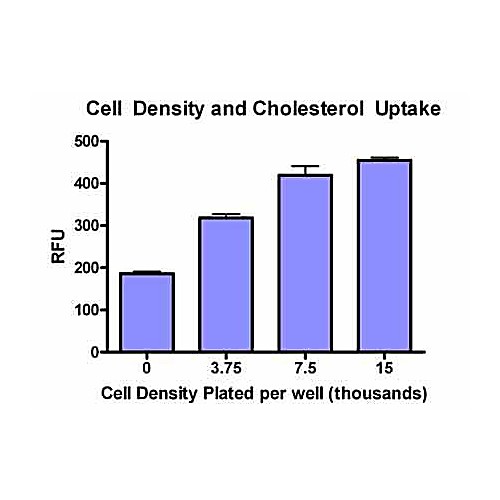 QuantiFluo™ Cholesterol Uptake Assay Kit