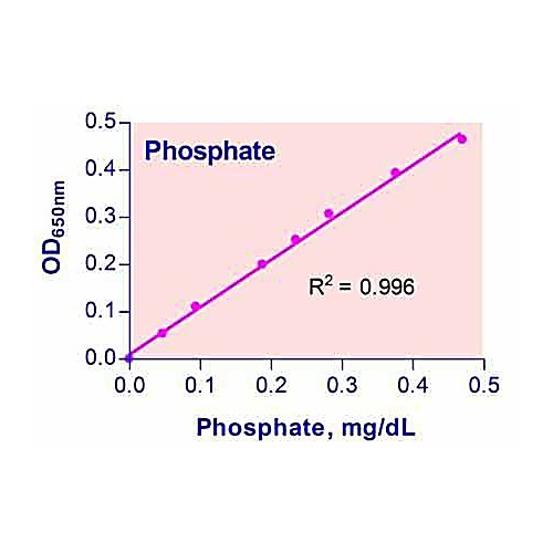 QuantiChrom™ Phosphate Assay Kit