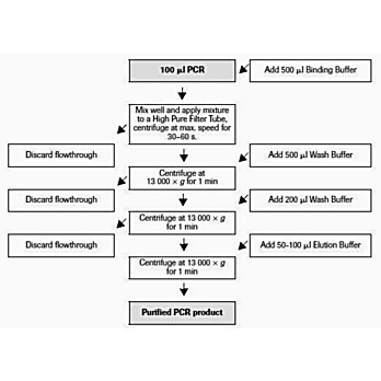 Roche Restriction Enzymes Buffer Chart