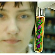 genomic plant dna purification kit at