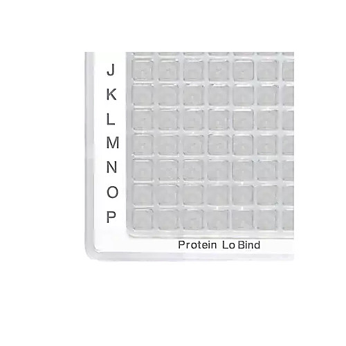 Protein LoBind Plate, White Frame/Clear Wells, Bottom Style Conical