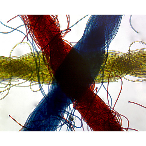 Prepared Microscope Slide,Cross Colored Threads. W.M.