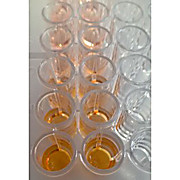 Wst-8 Cell Proliferation Kit
