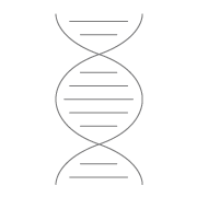 Molecular Diagnostics