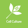 Cell Culture