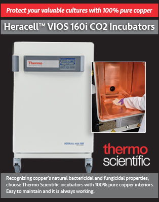 THERMO SCIENTIFIC